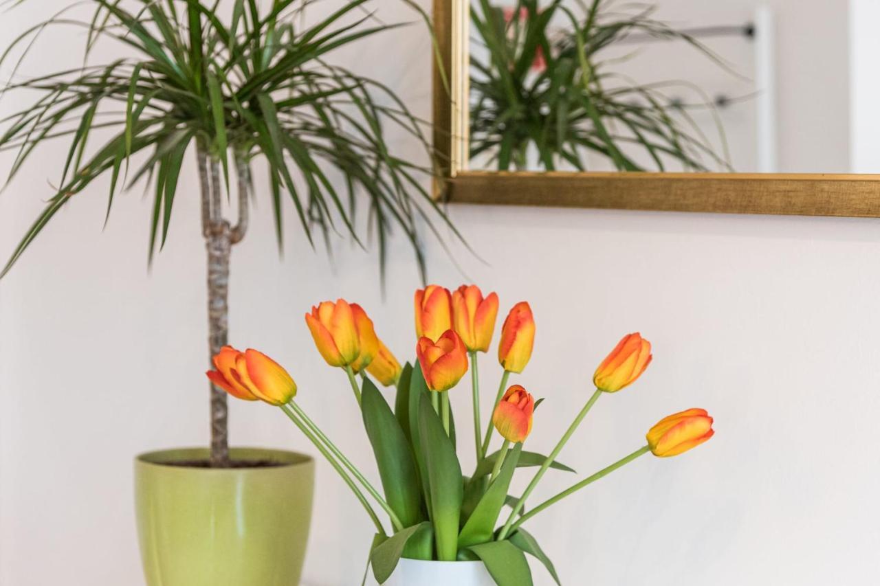 Guestready - The New Made In Porto Appartamento Esterno foto
